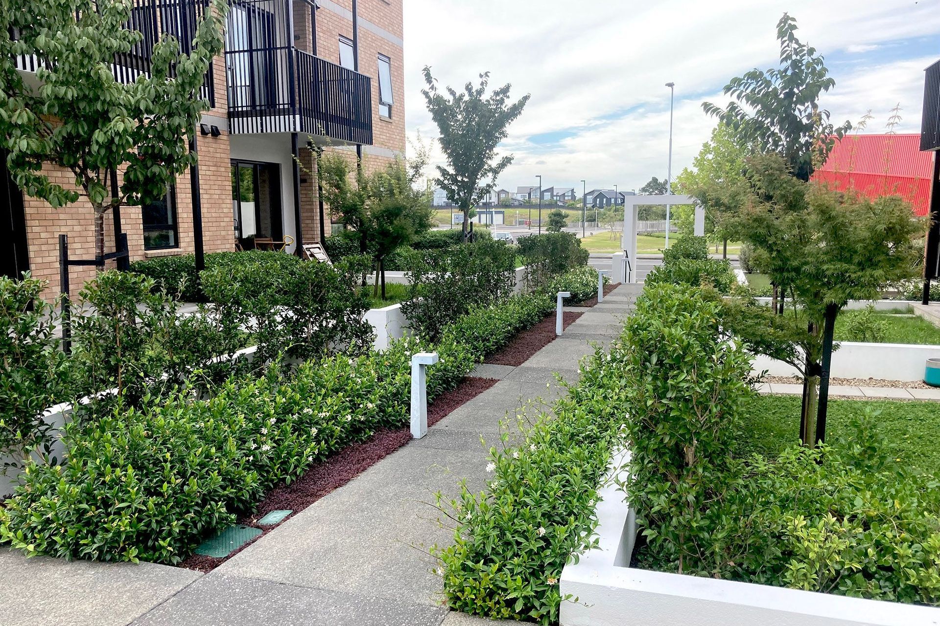 Pedestrian Park
