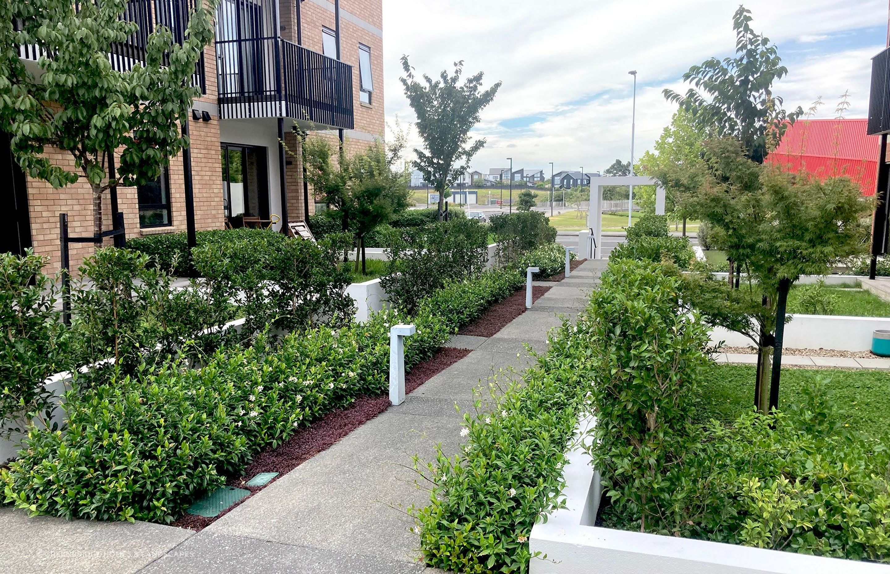 Pedestrian Park