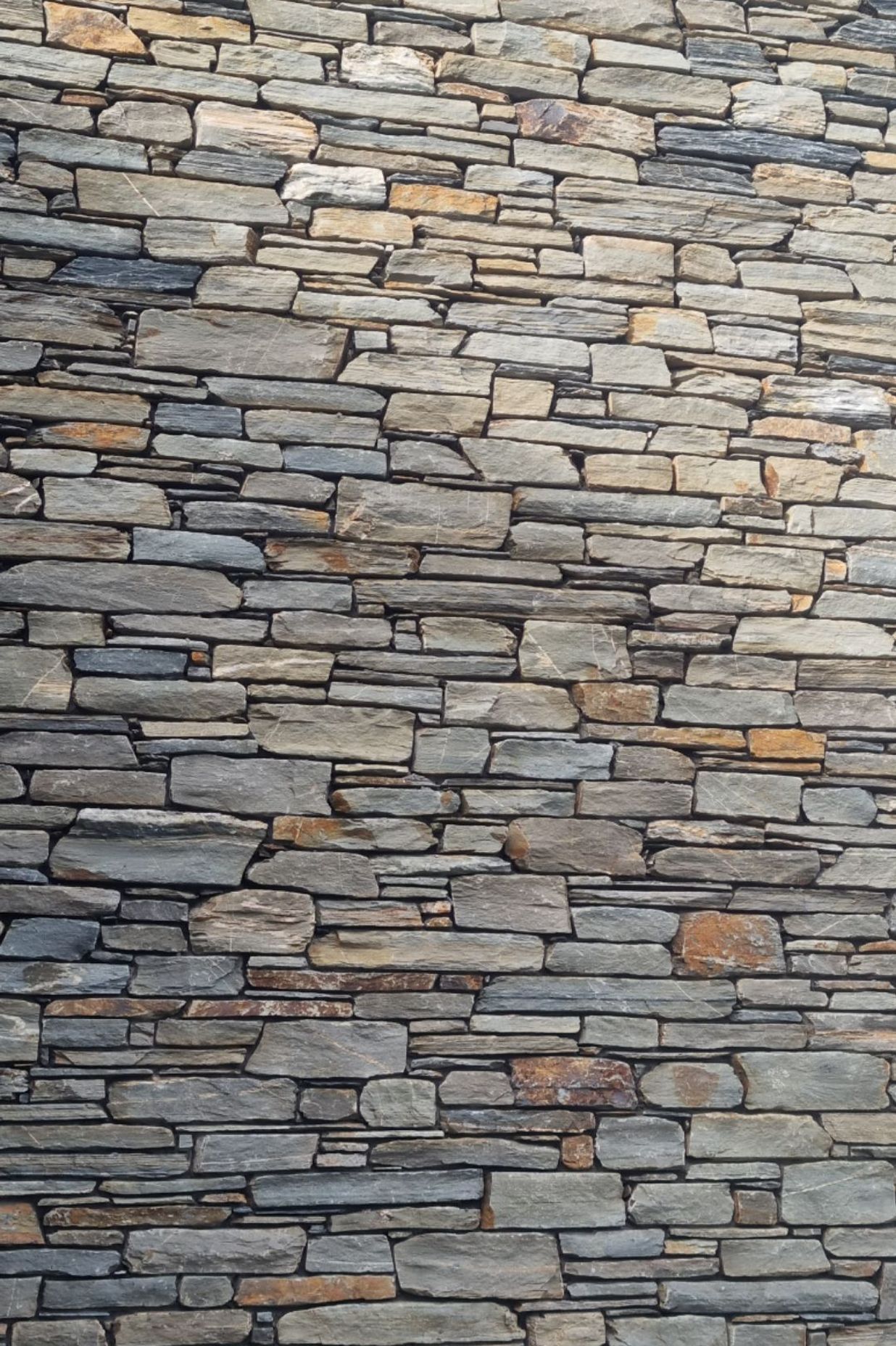 Cluden schist