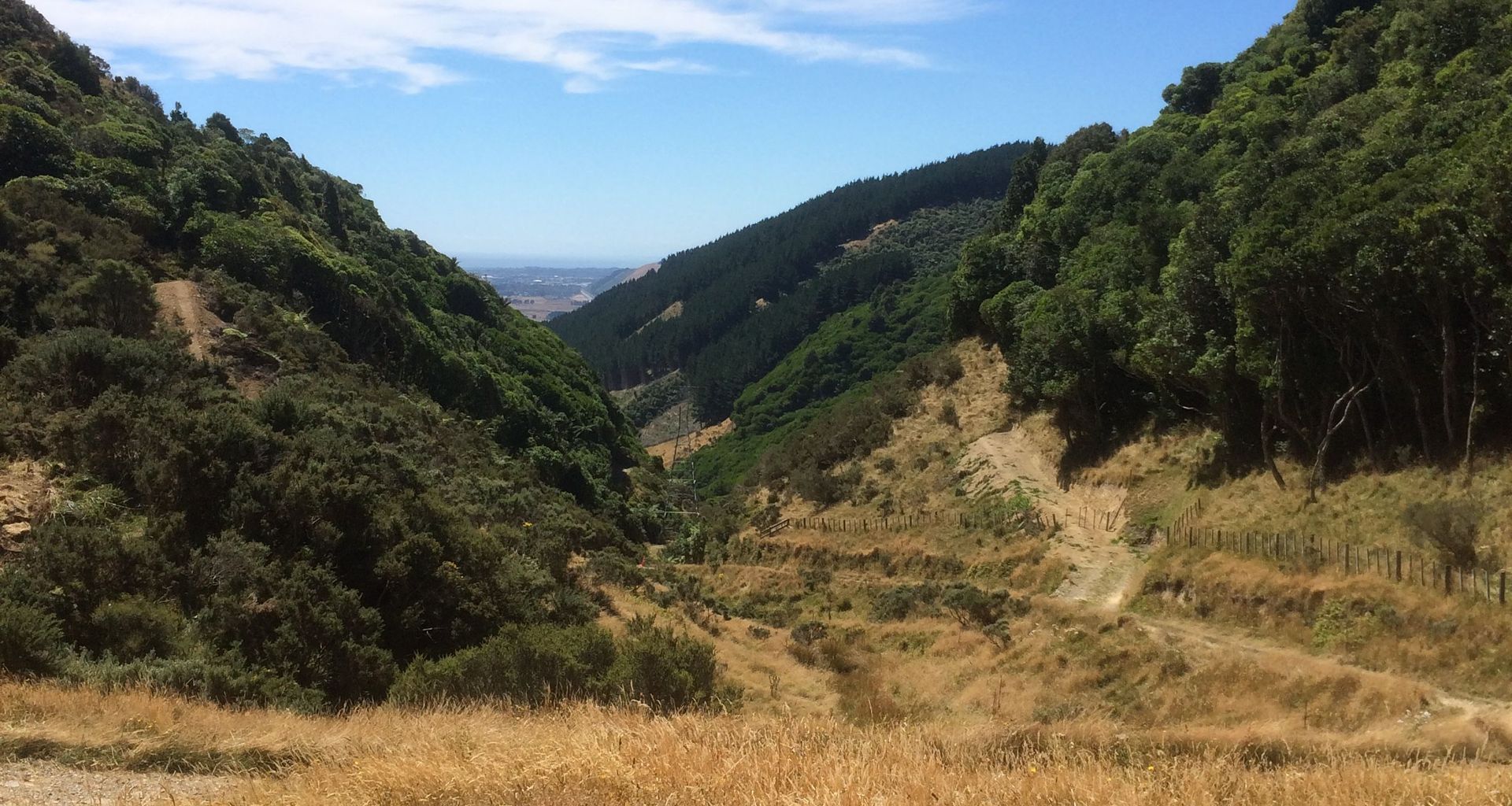 Transmission Gully banner
