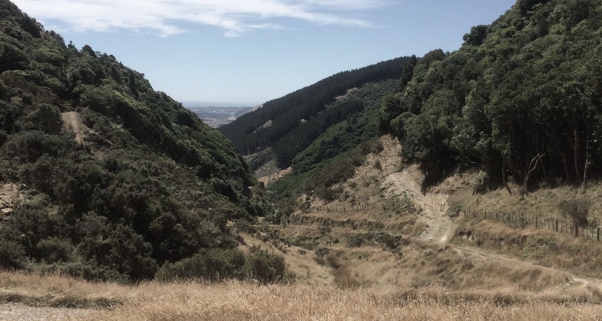 Transmission Gully banner