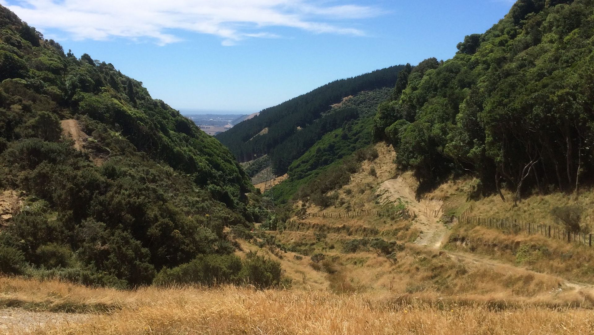 Transmission Gully banner