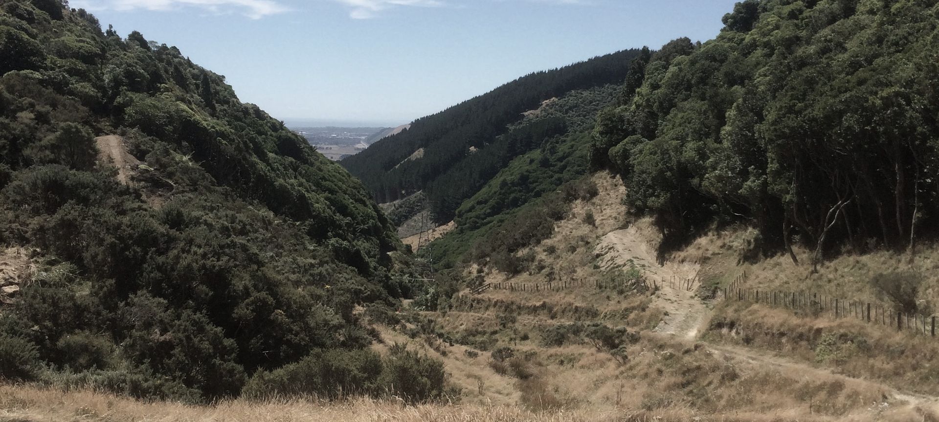Transmission Gully banner