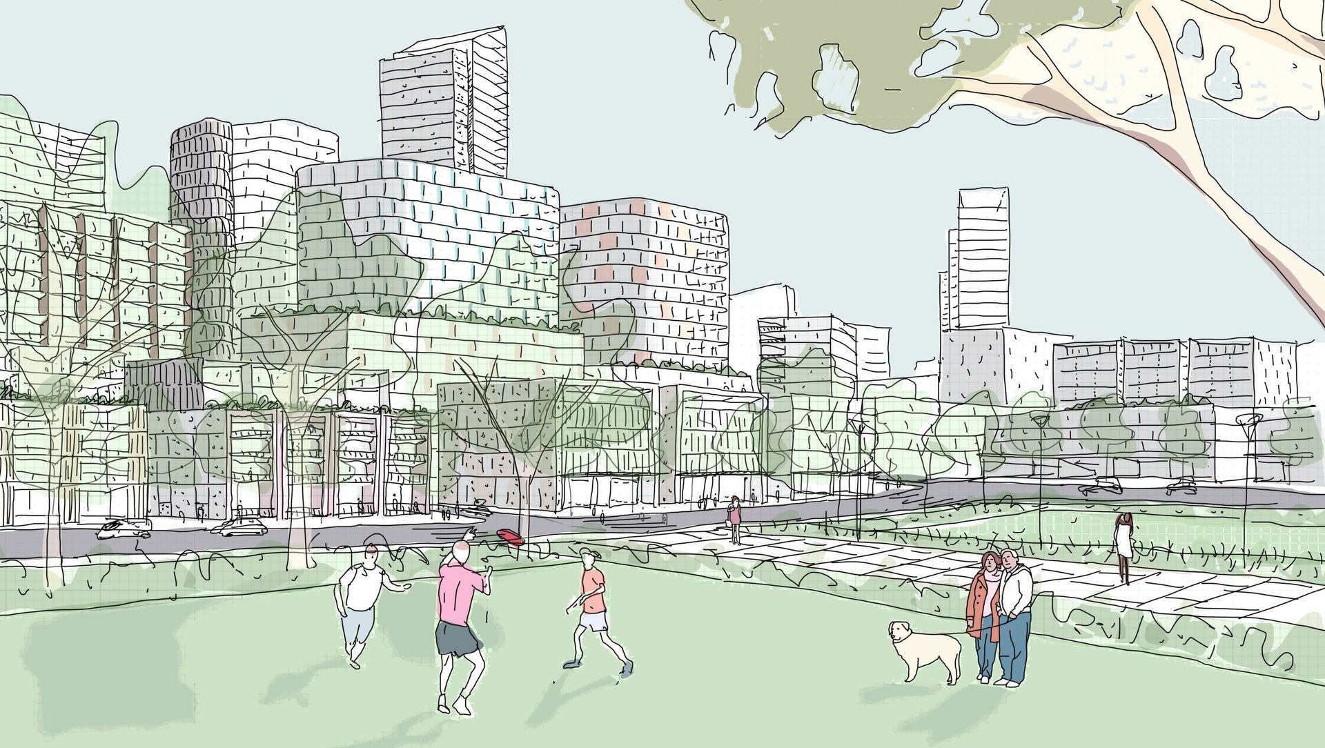 Wollongong Urban Design Framework banner