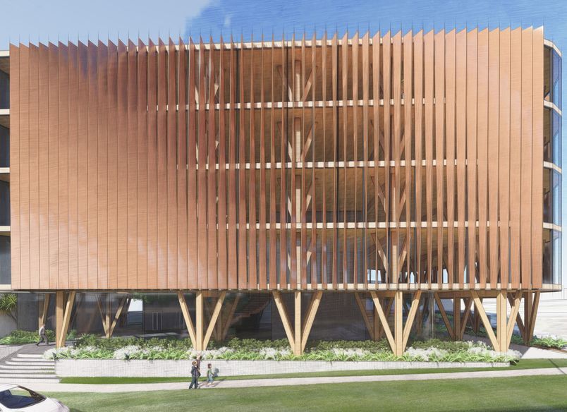Biophilic Offices