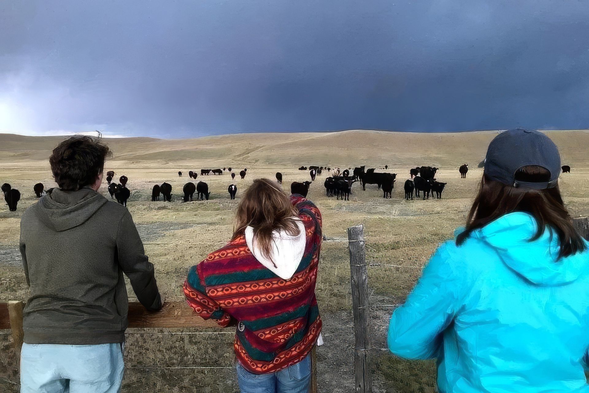 imgi112Cattle-upscaled-by-Replicate.jpg