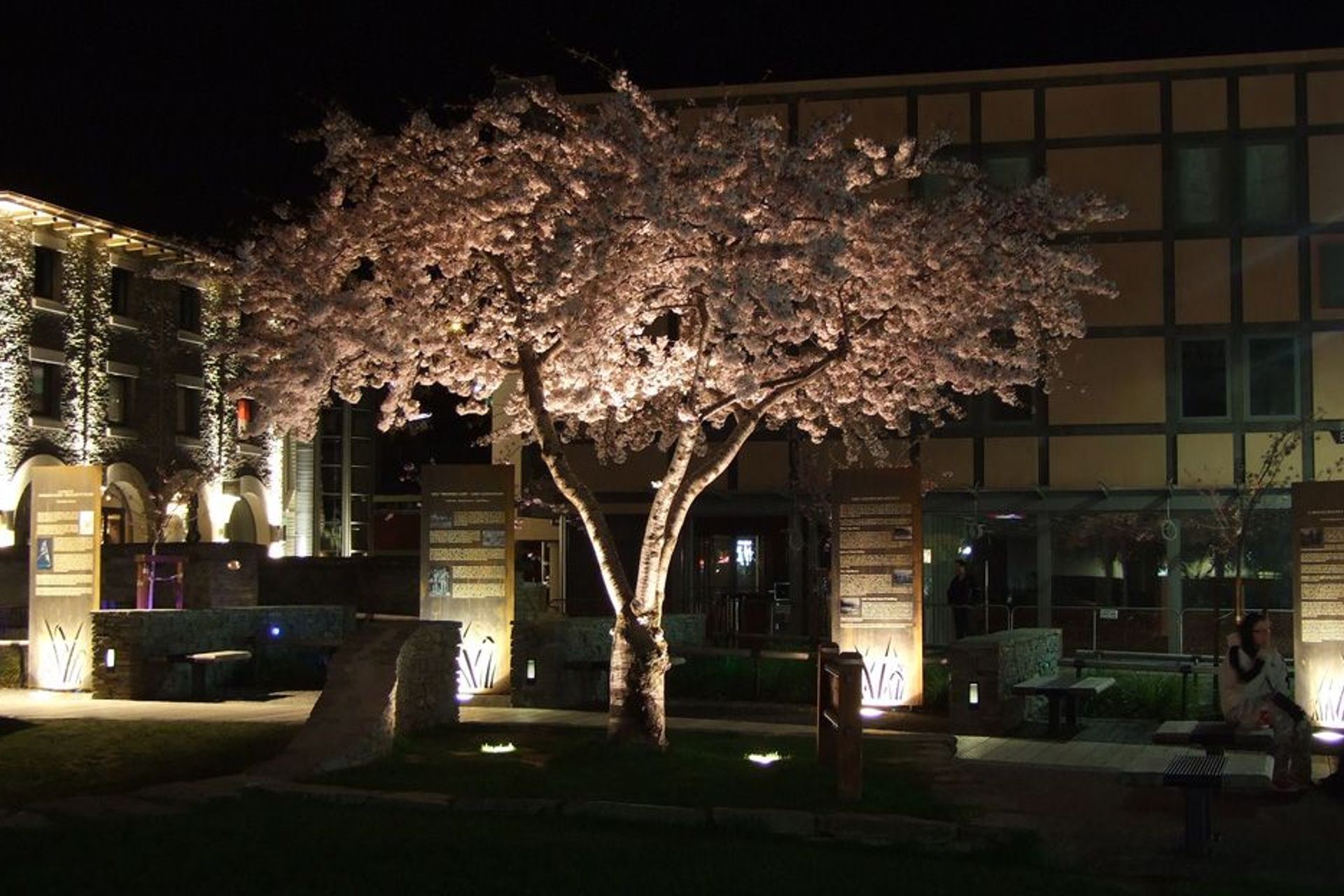 Urban Design - Queenstown Village Green