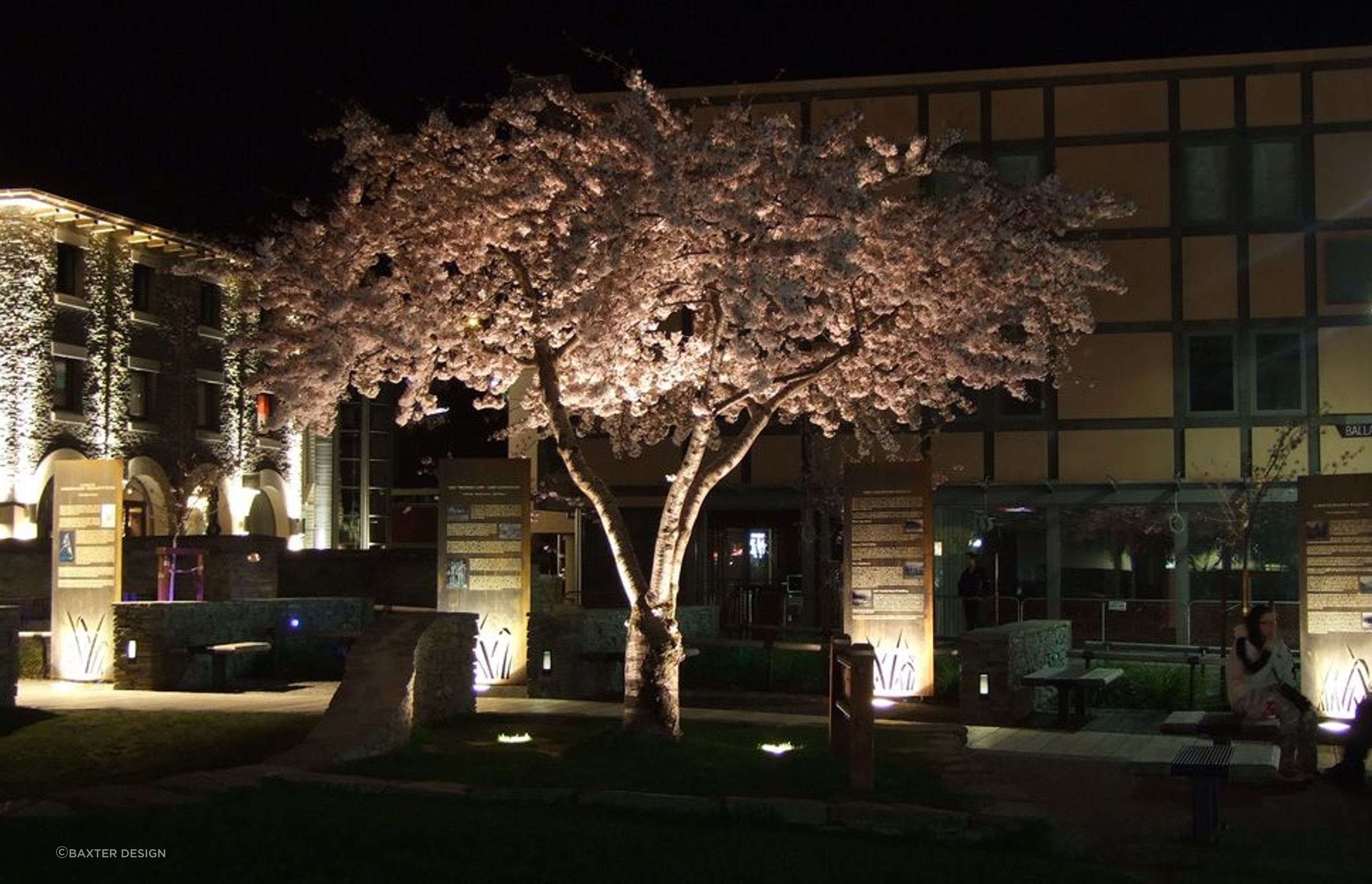 Urban Design - Queenstown Village Green