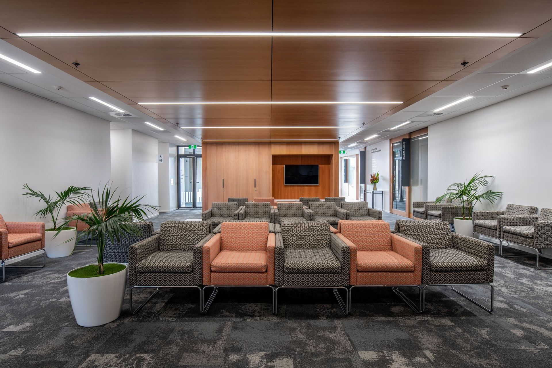 Otolaryngology (ENT)