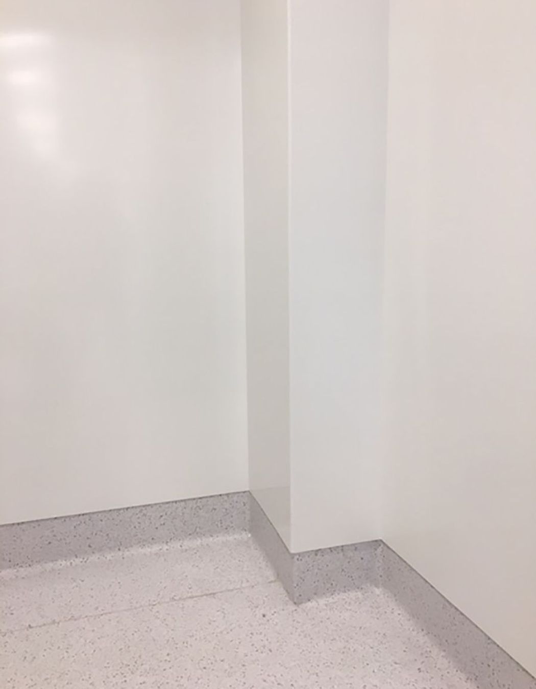 Auckland Hospital Endoscopy Suite