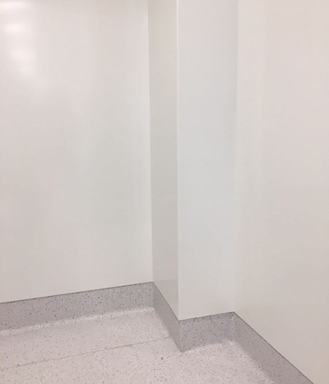 Auckland Hospital Endoscopy Suite