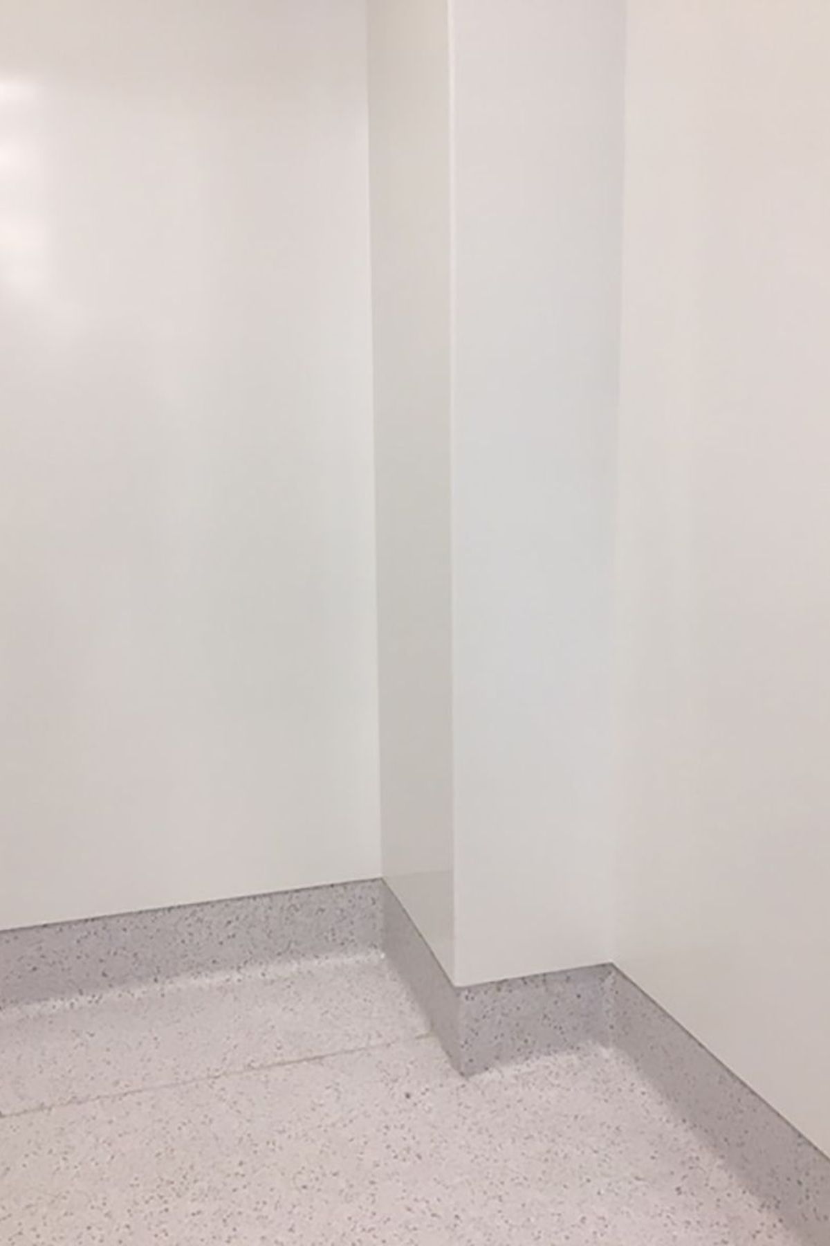 Auckland Hospital Endoscopy Suite
