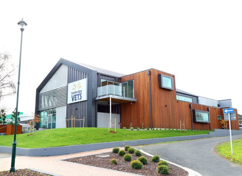 Cambridge Vets