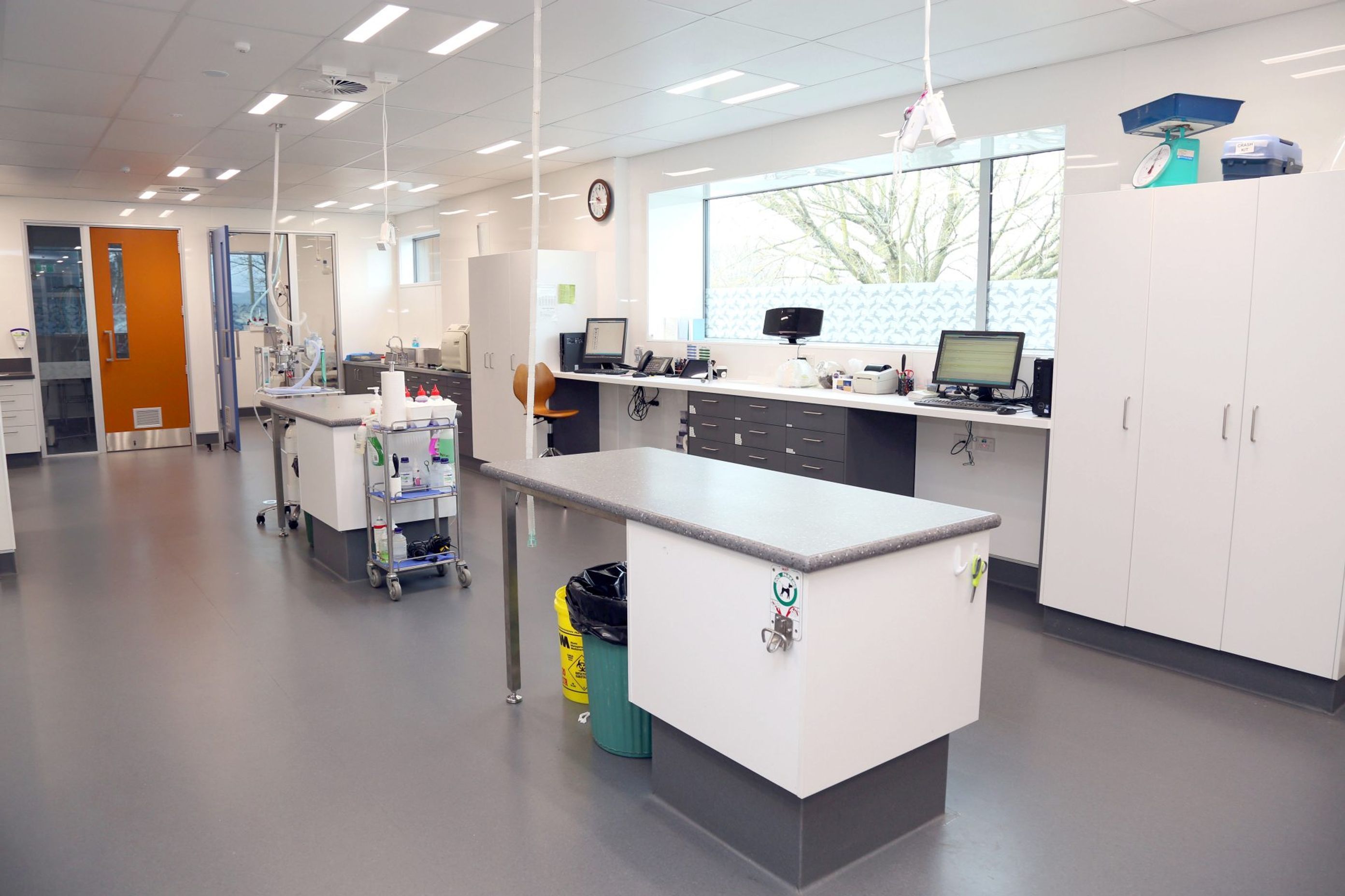 Cambridge Vets