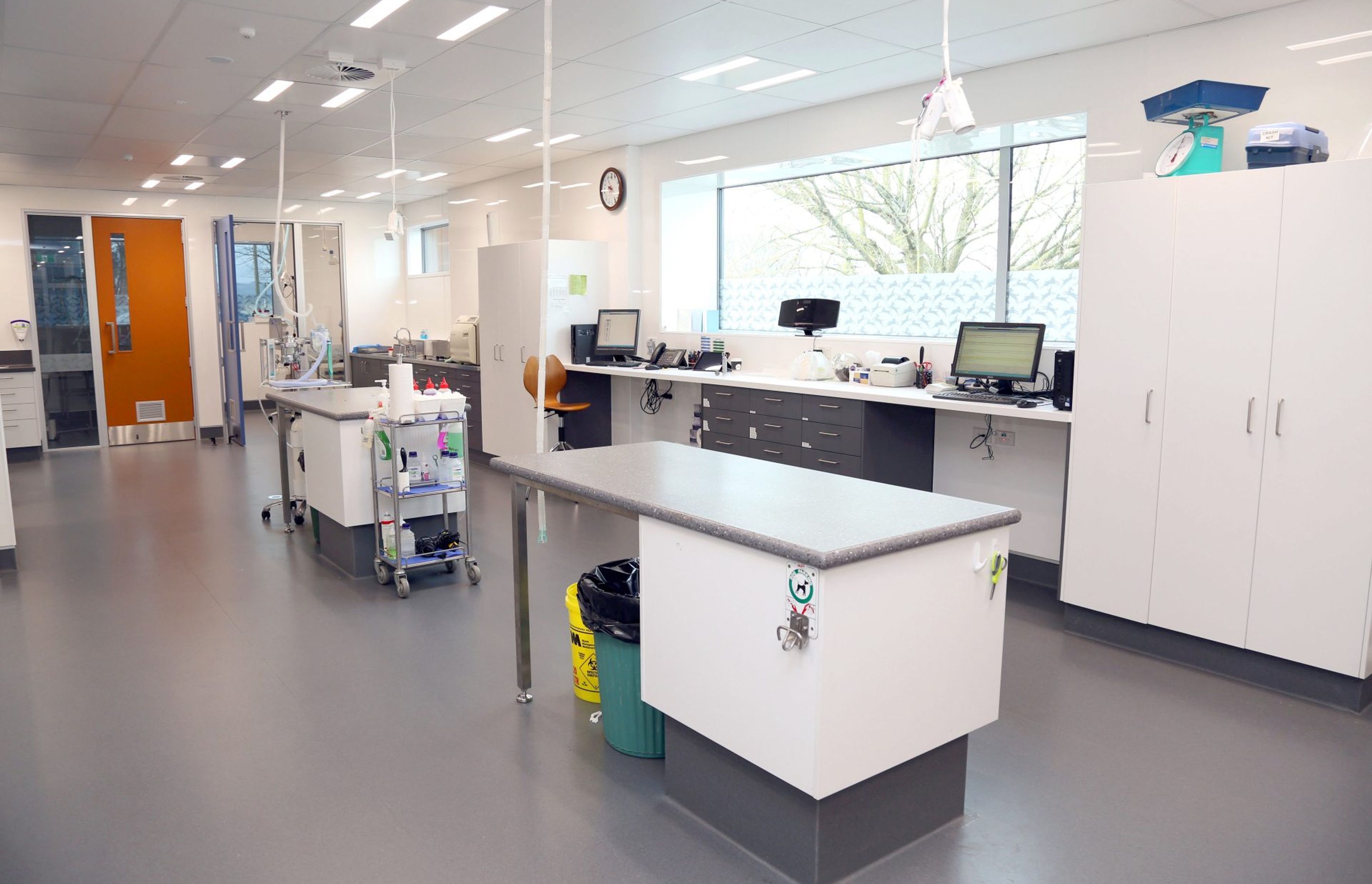 Cambridge Vets