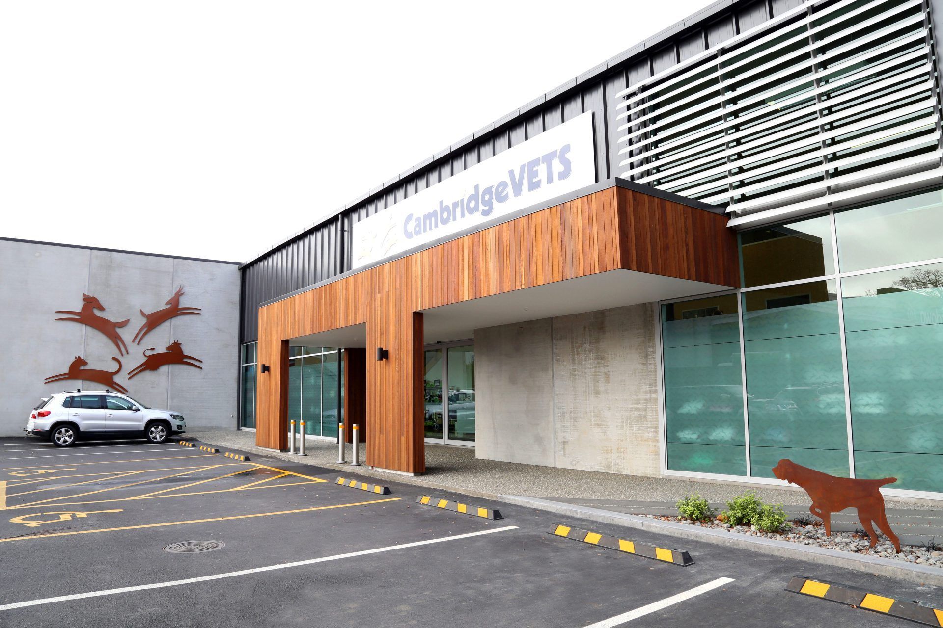 Cambridge Vets