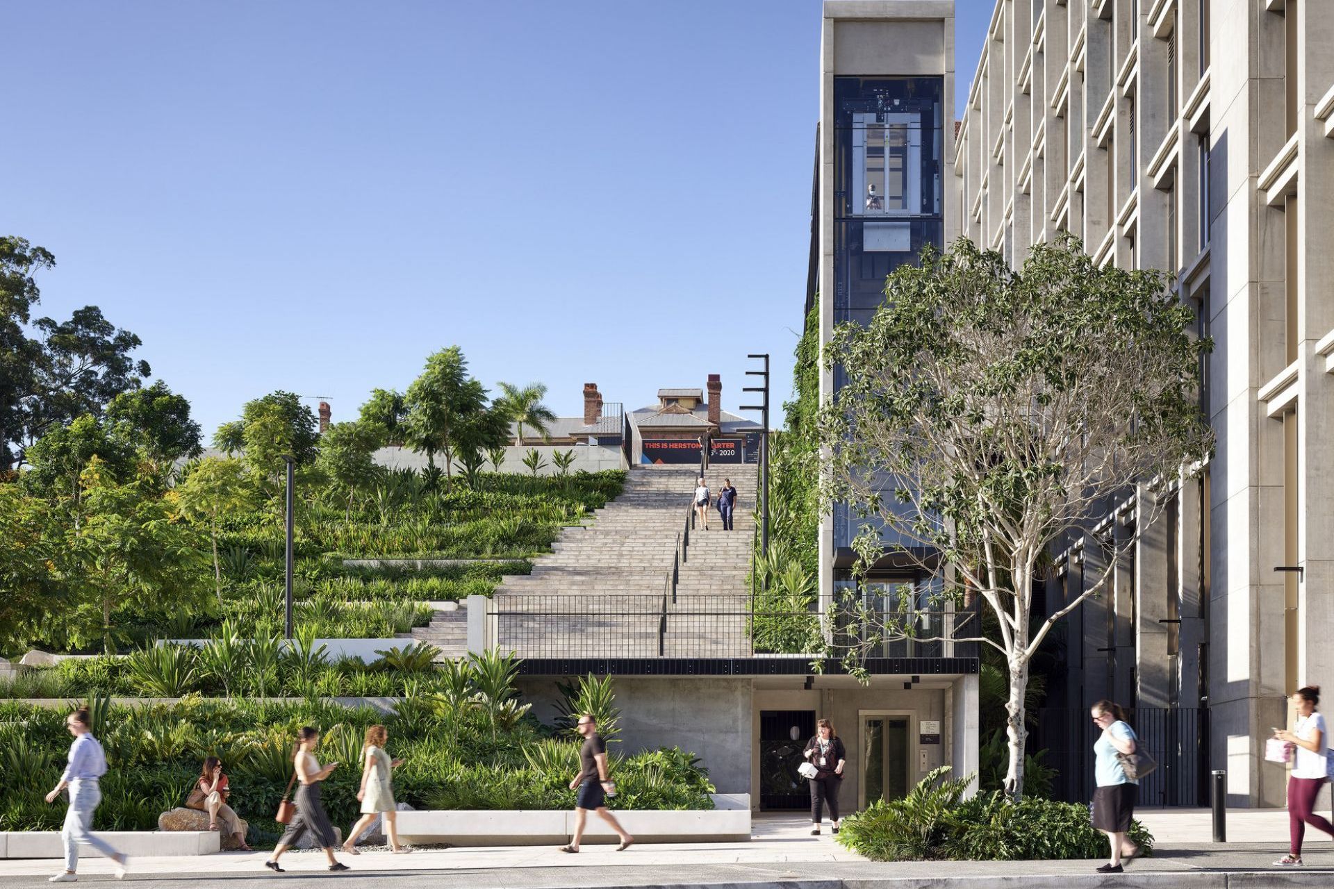 Herston Quarter STARS