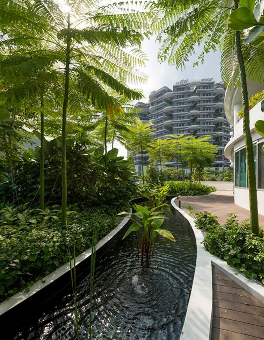 ^^Ng Teng Fong and Jurong