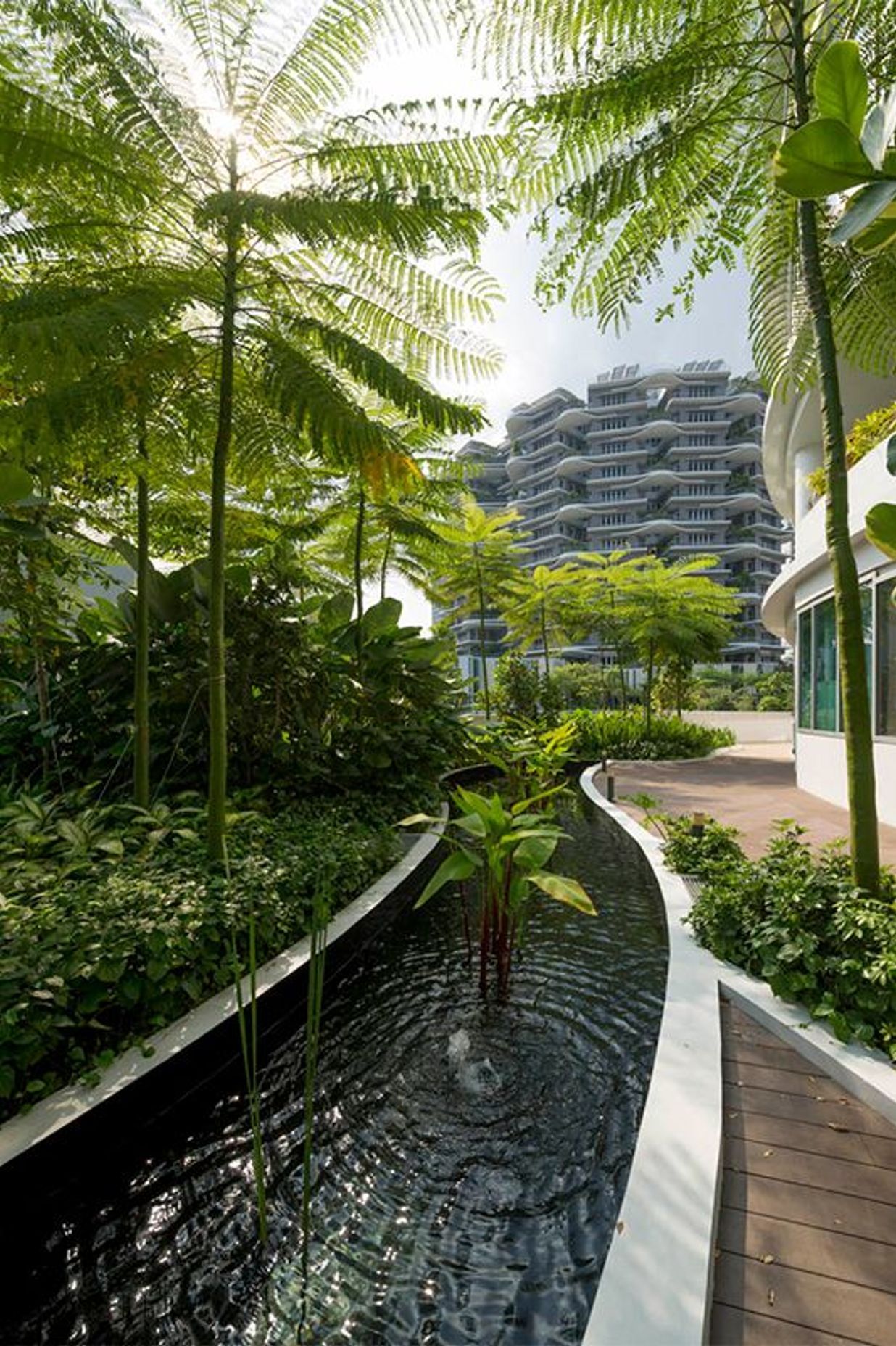 ^^Ng Teng Fong and Jurong