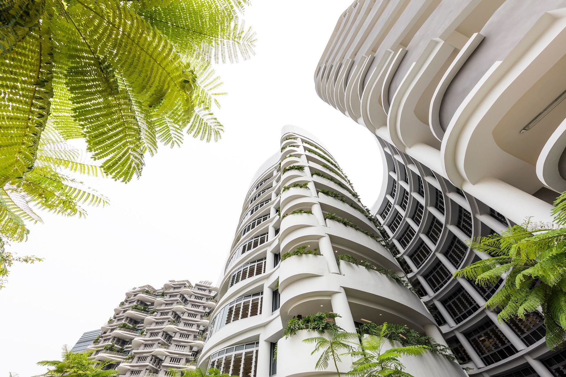 ^^Ng Teng Fong and Jurong