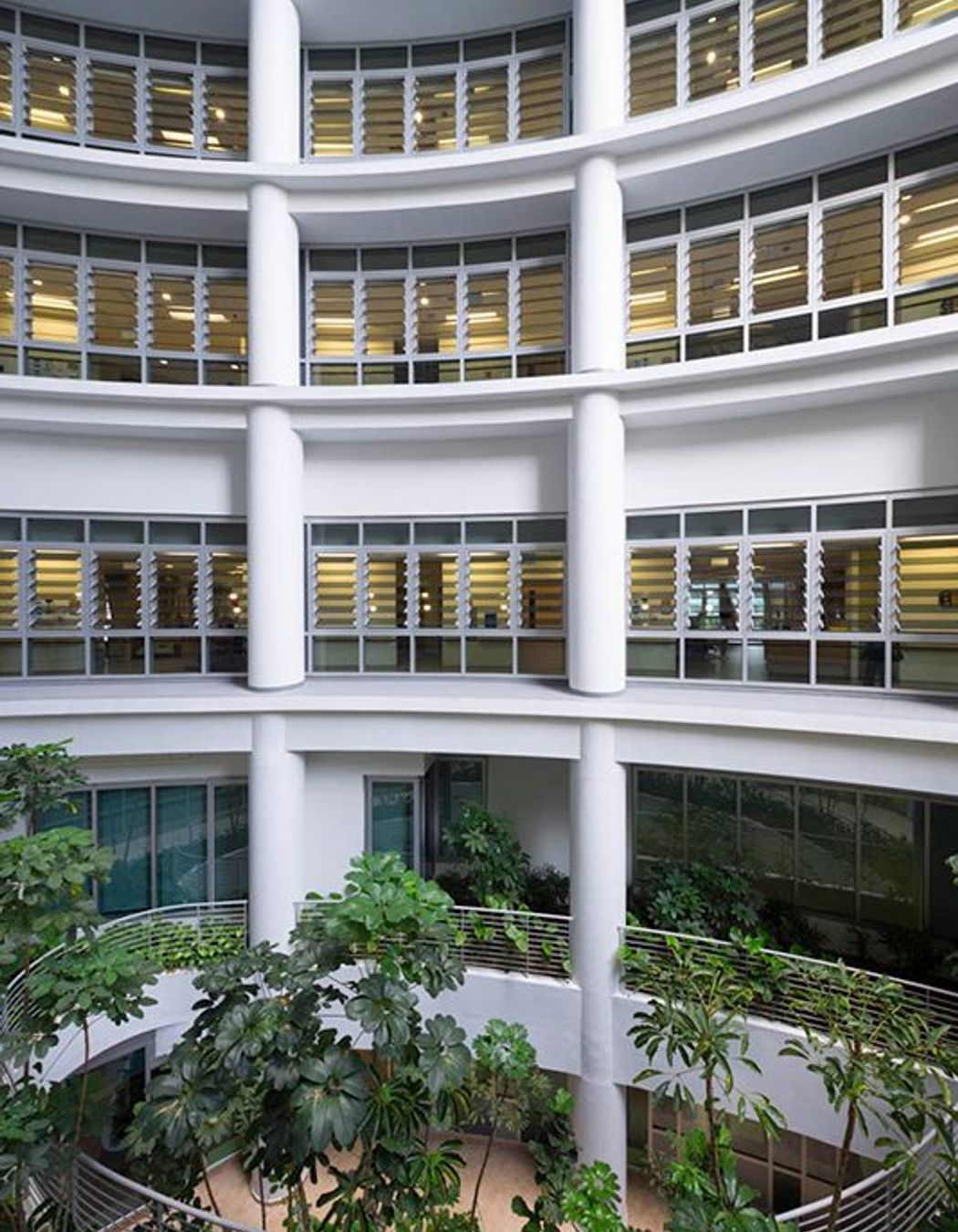 ^^Ng Teng Fong and Jurong