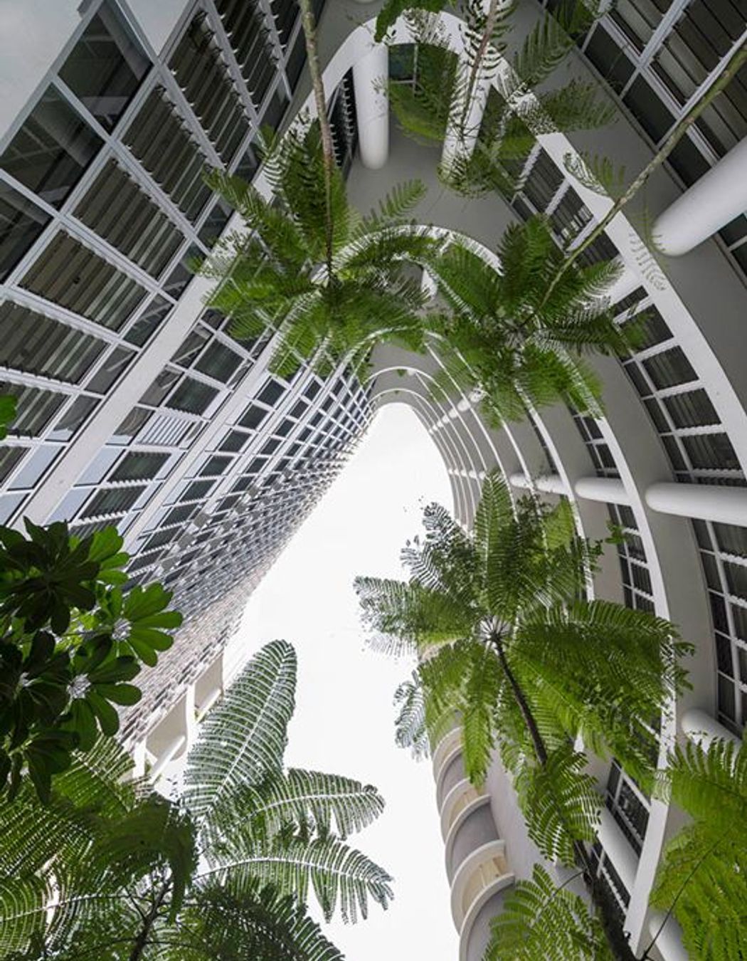 ^^Ng Teng Fong and Jurong