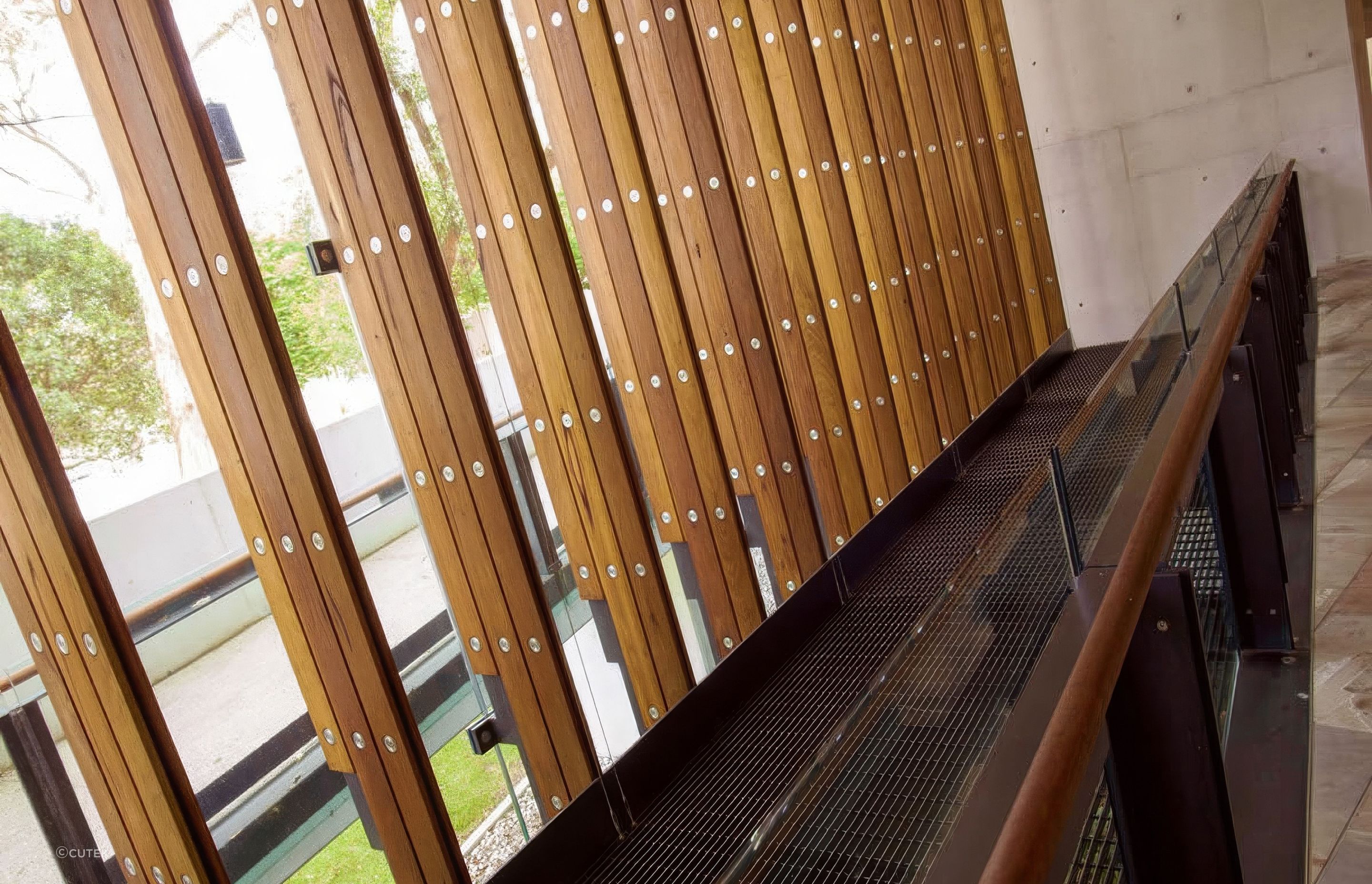 archipro-4-CUSTOM-BLACKBUTT-FINS-UQOHC-7-1.jpg