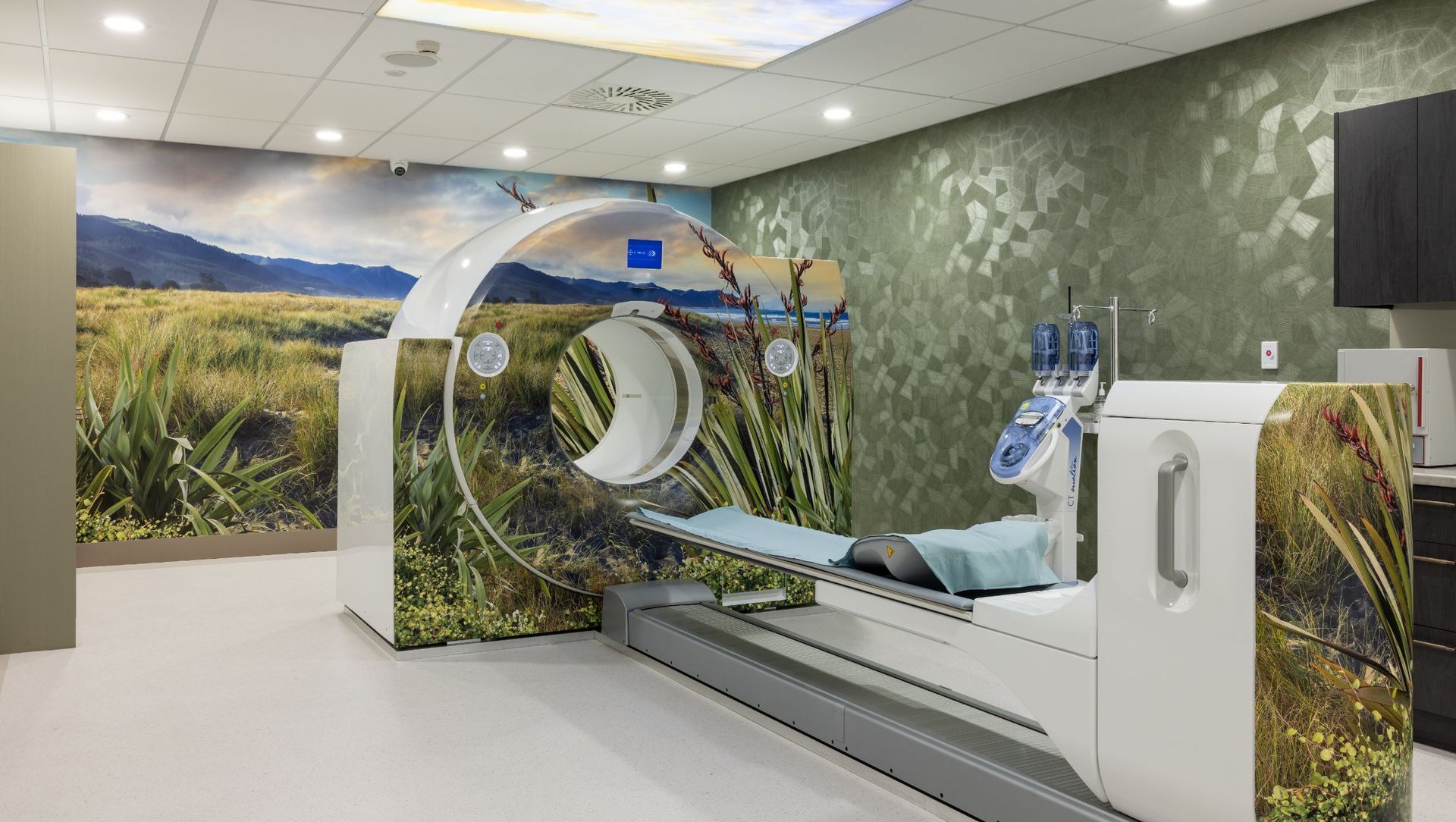 Canopy Imaging - Hawkes Bay banner