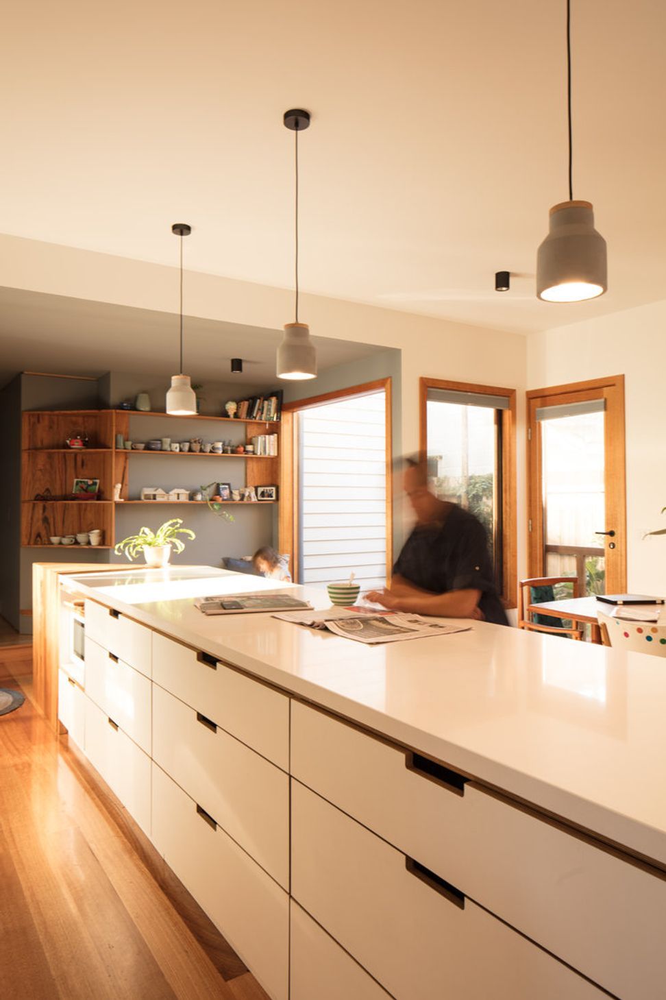Urban Barnyard House