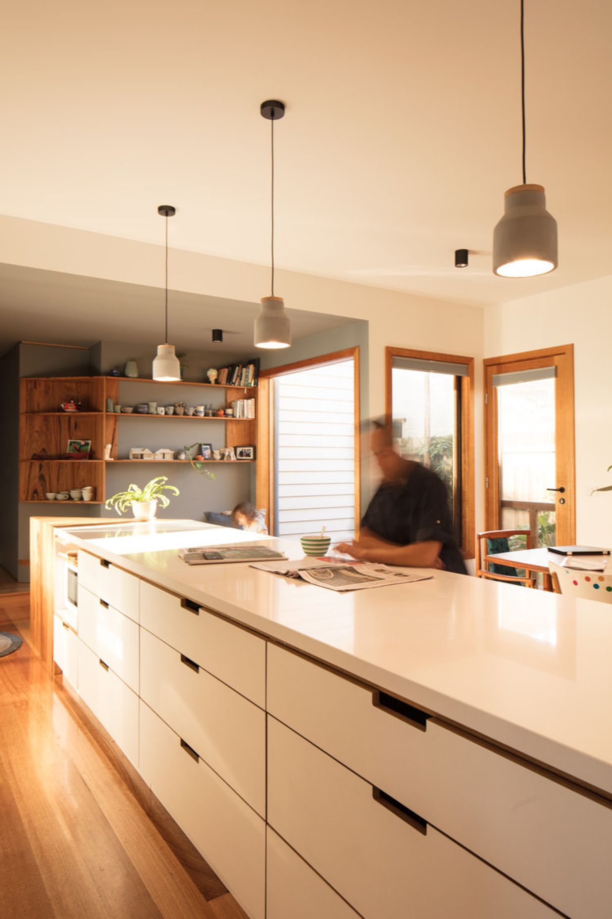 Urban Barnyard House