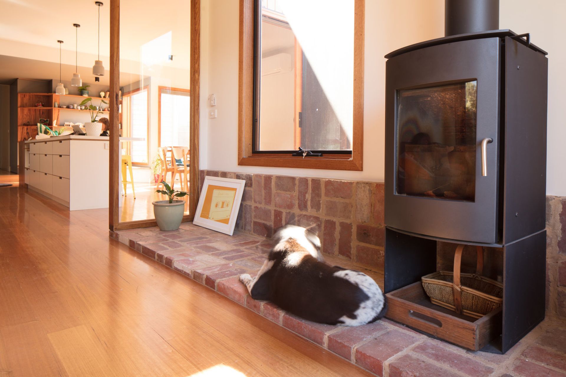 Urban Barnyard House