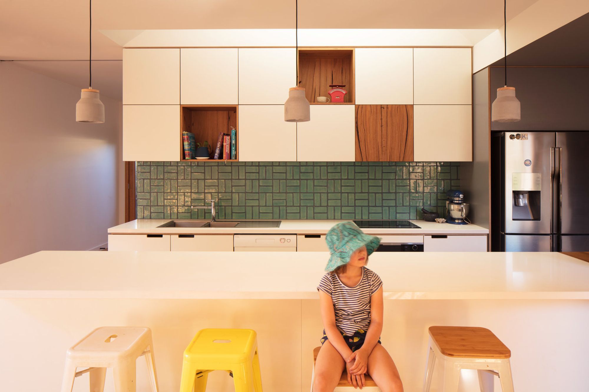 Urban Barnyard House