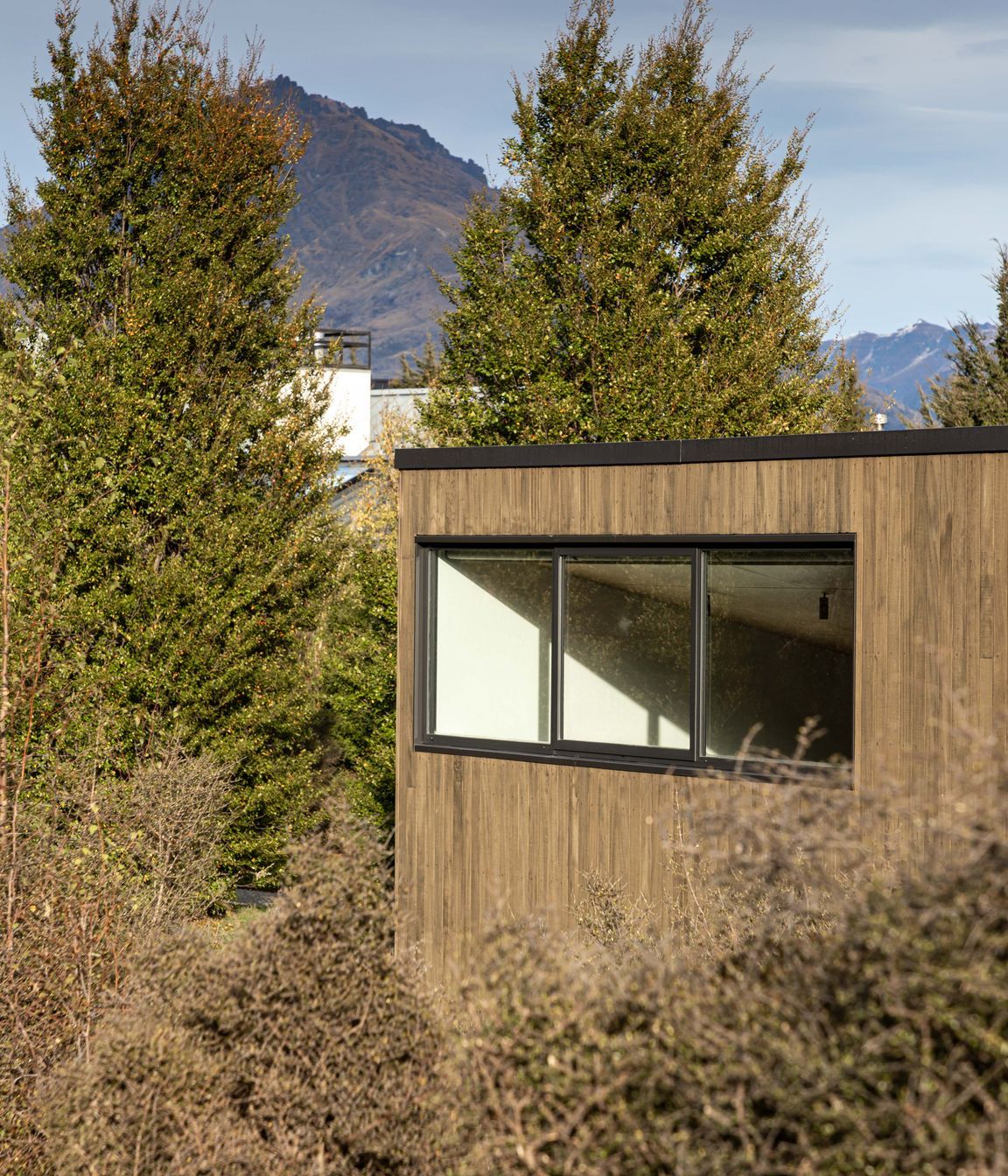 Kanuka stained timber cladding blends with the surrounding native vegetation