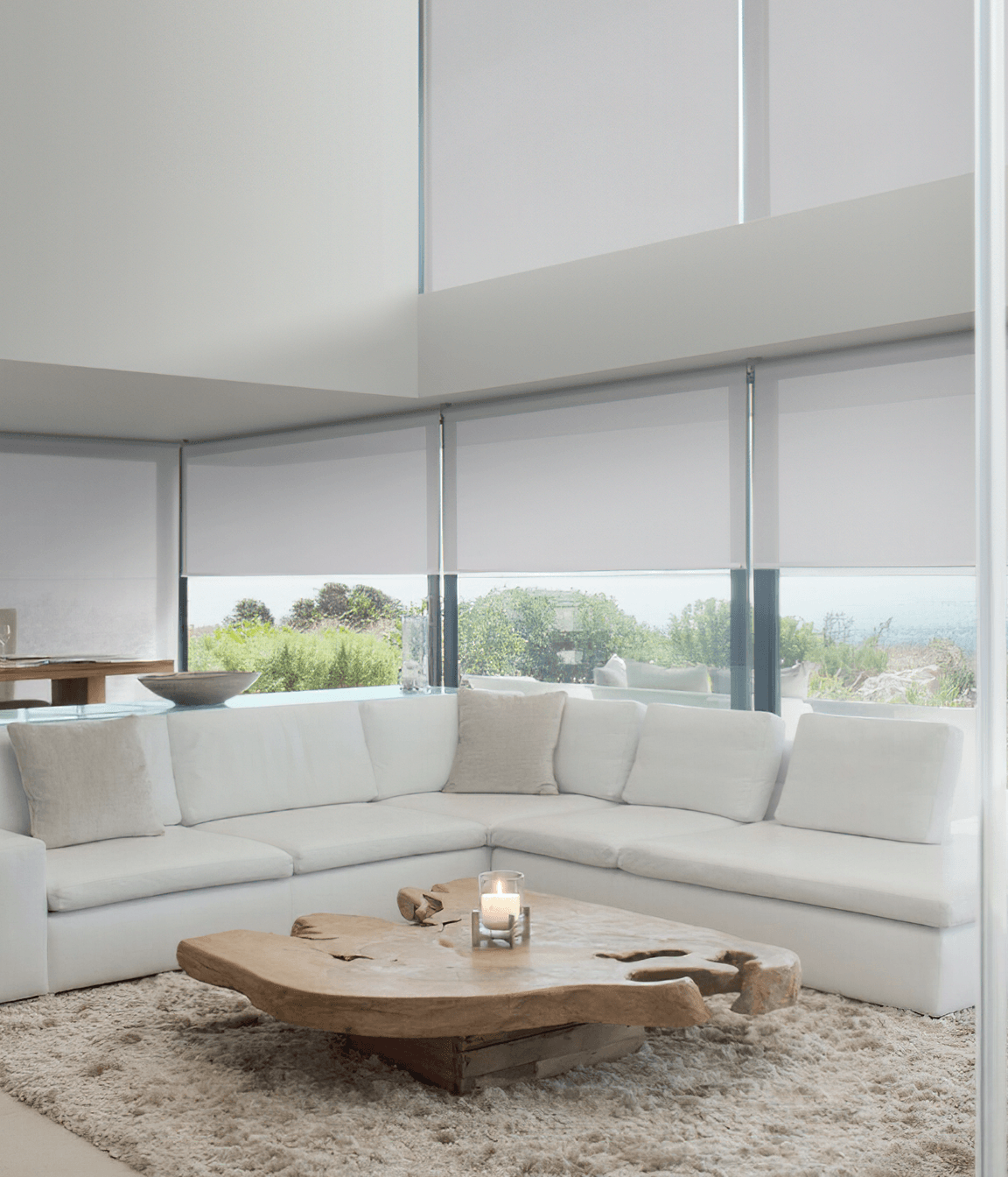 Windows Furnishings