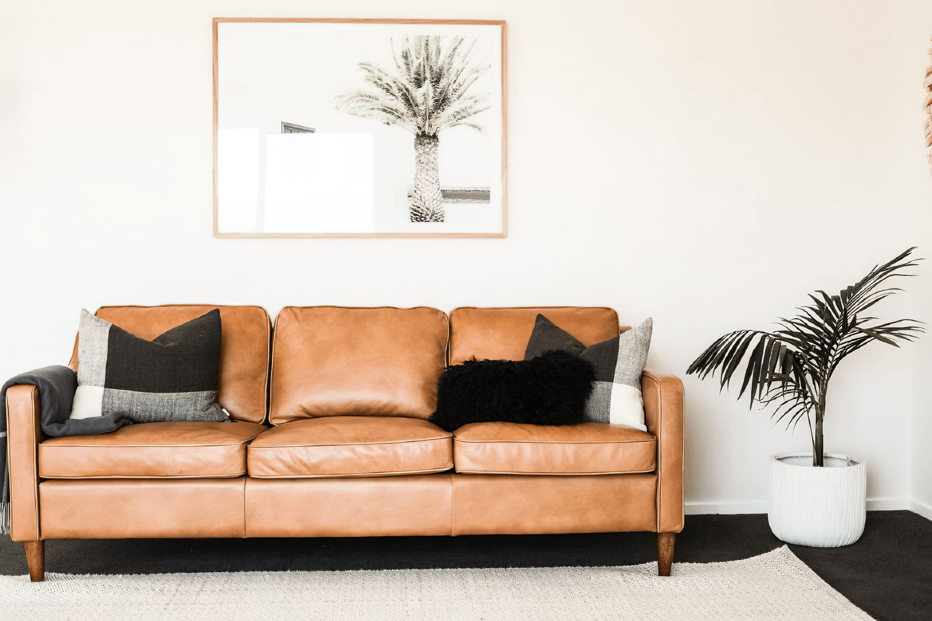 Trendsetter Ravenswood