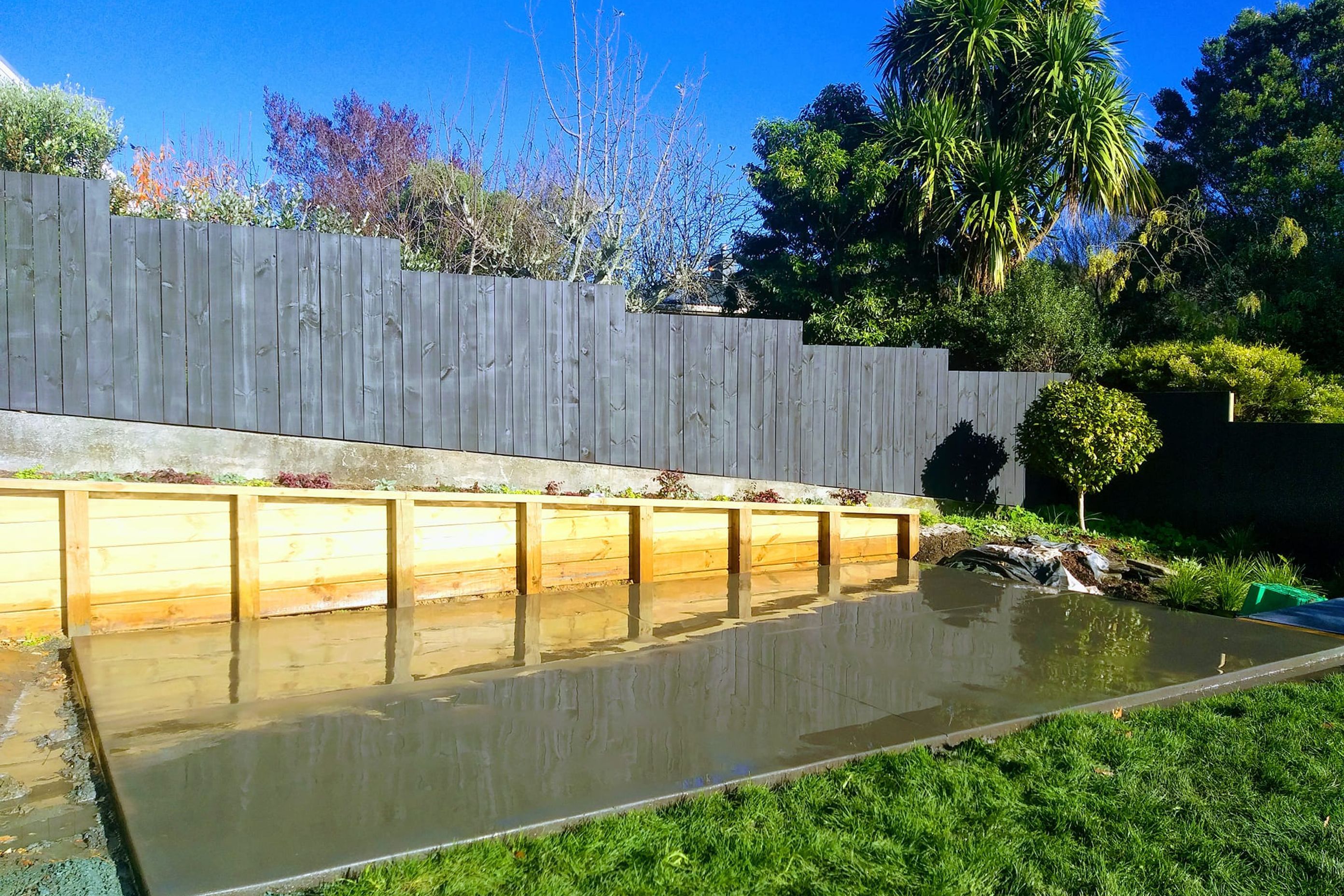 Tasman Views