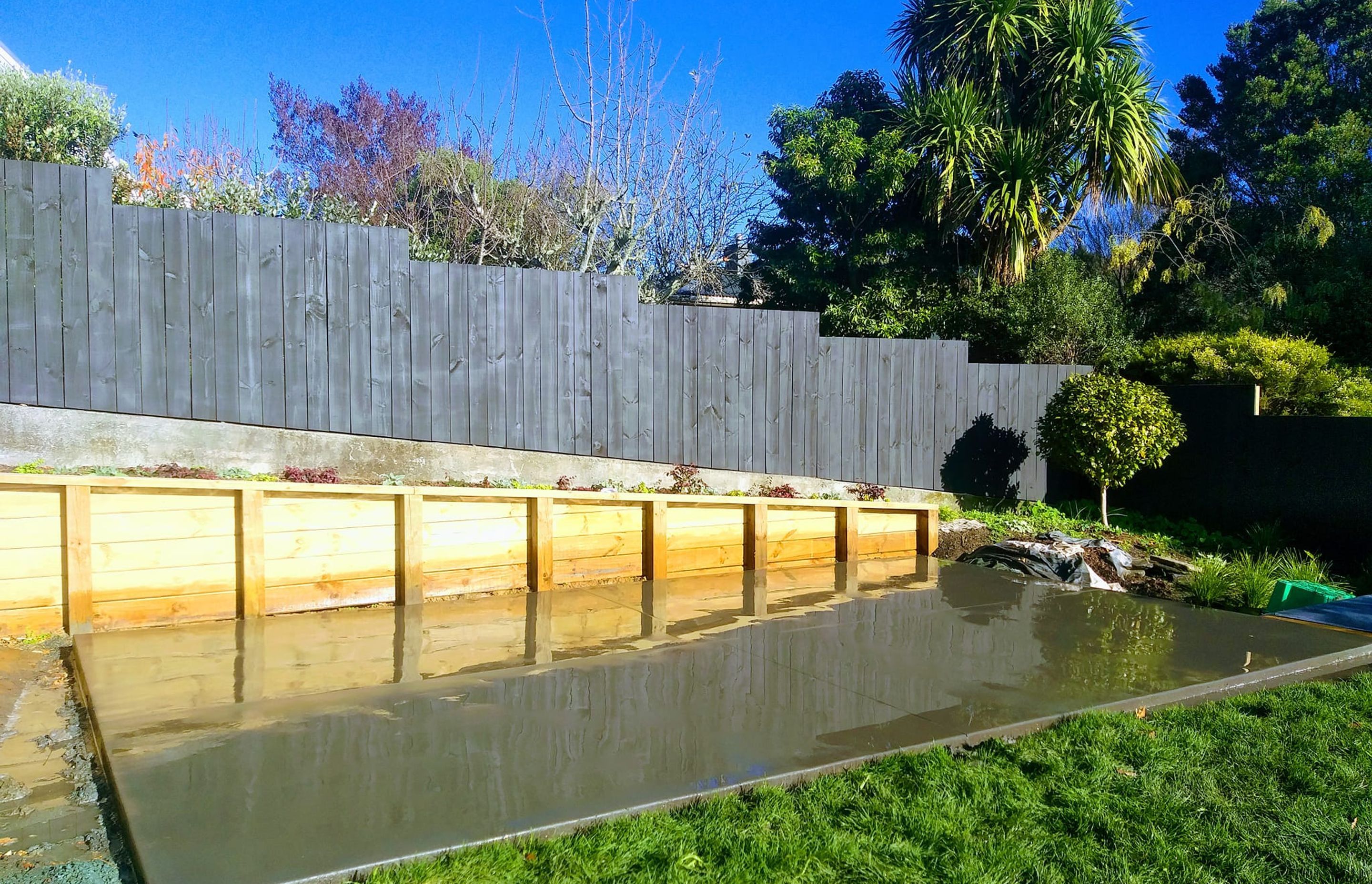 Tasman Views