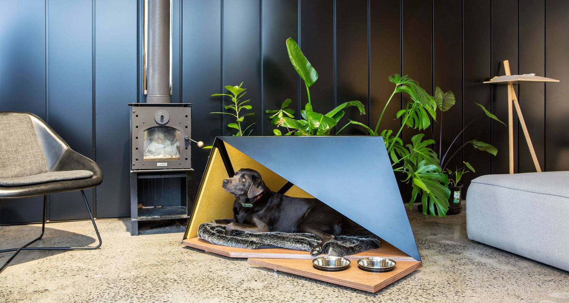 The Pup Tent banner