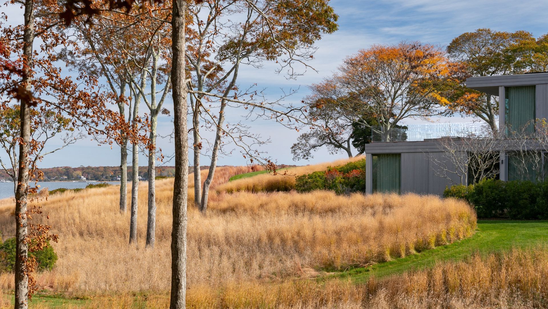 Springy Banks banner