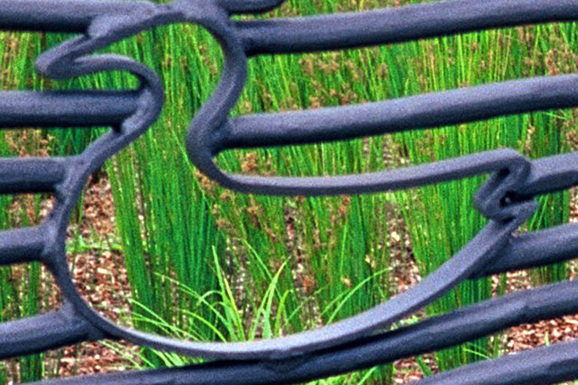 Helensburgh Regional Park