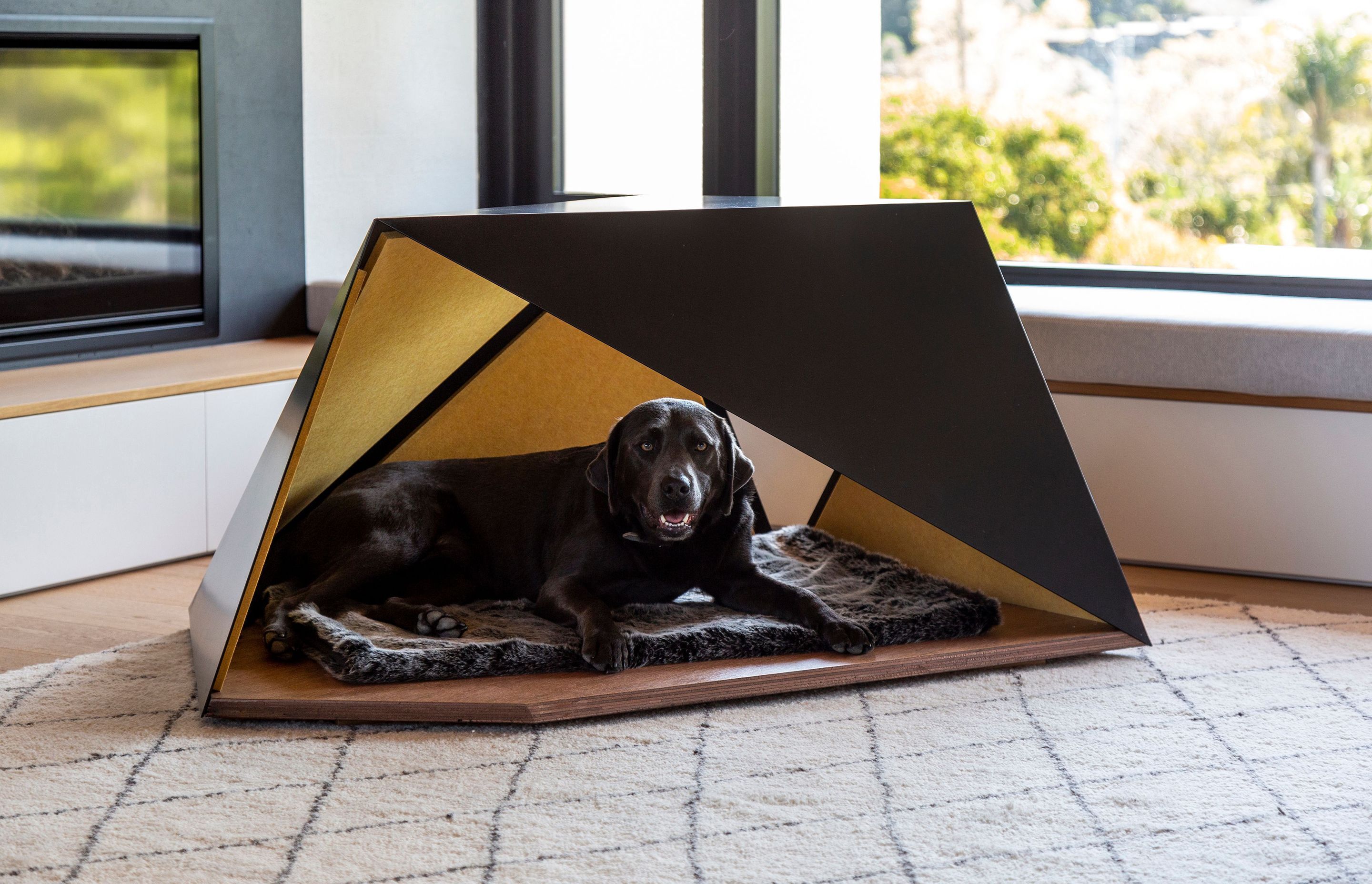 The Pup Tent