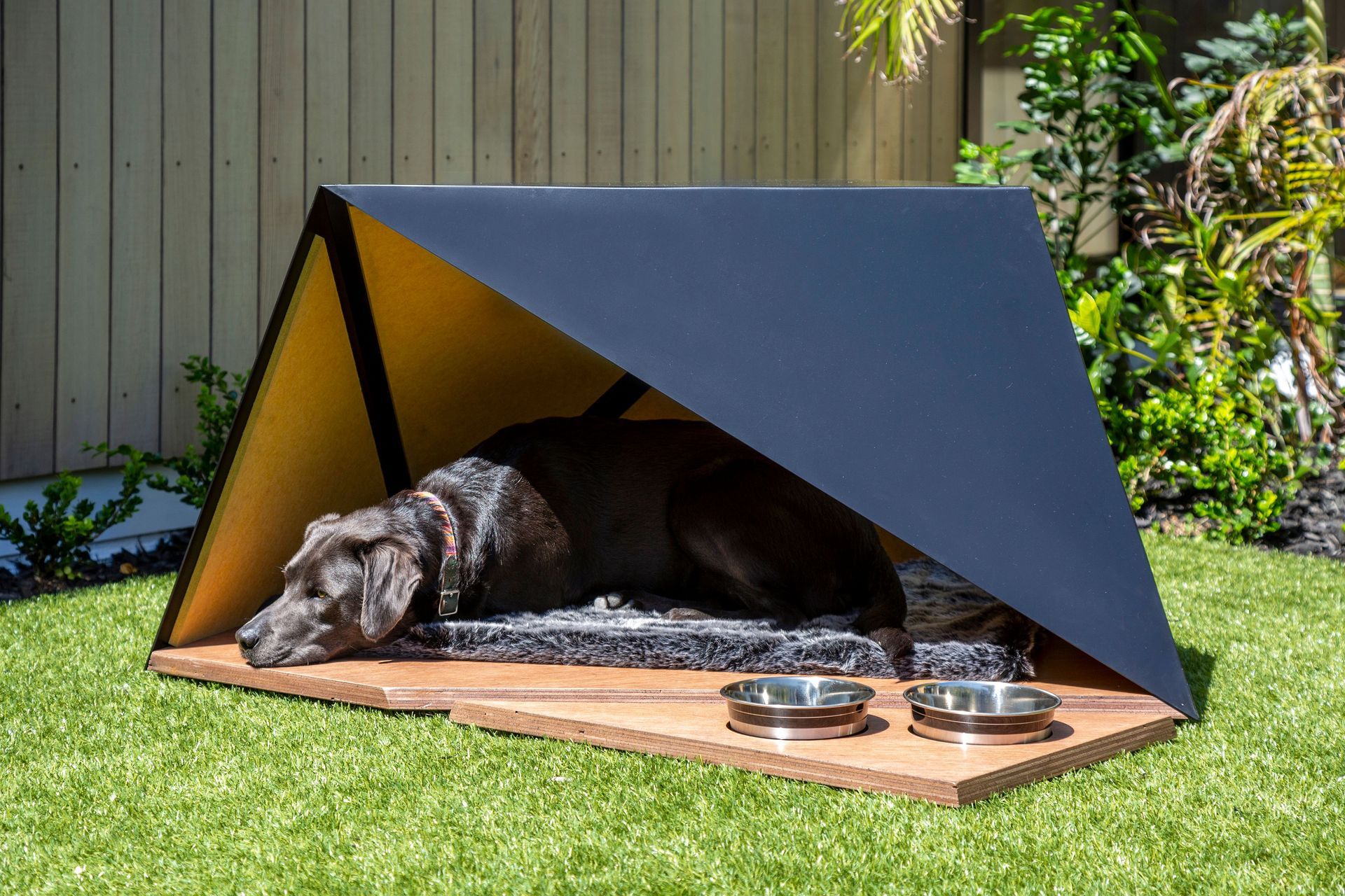The Pup Tent