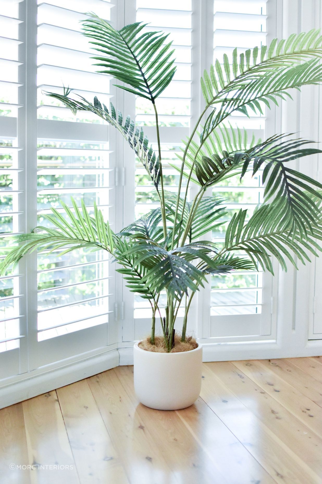 9-MORC-Interiors-Coastal-Styling.jpg