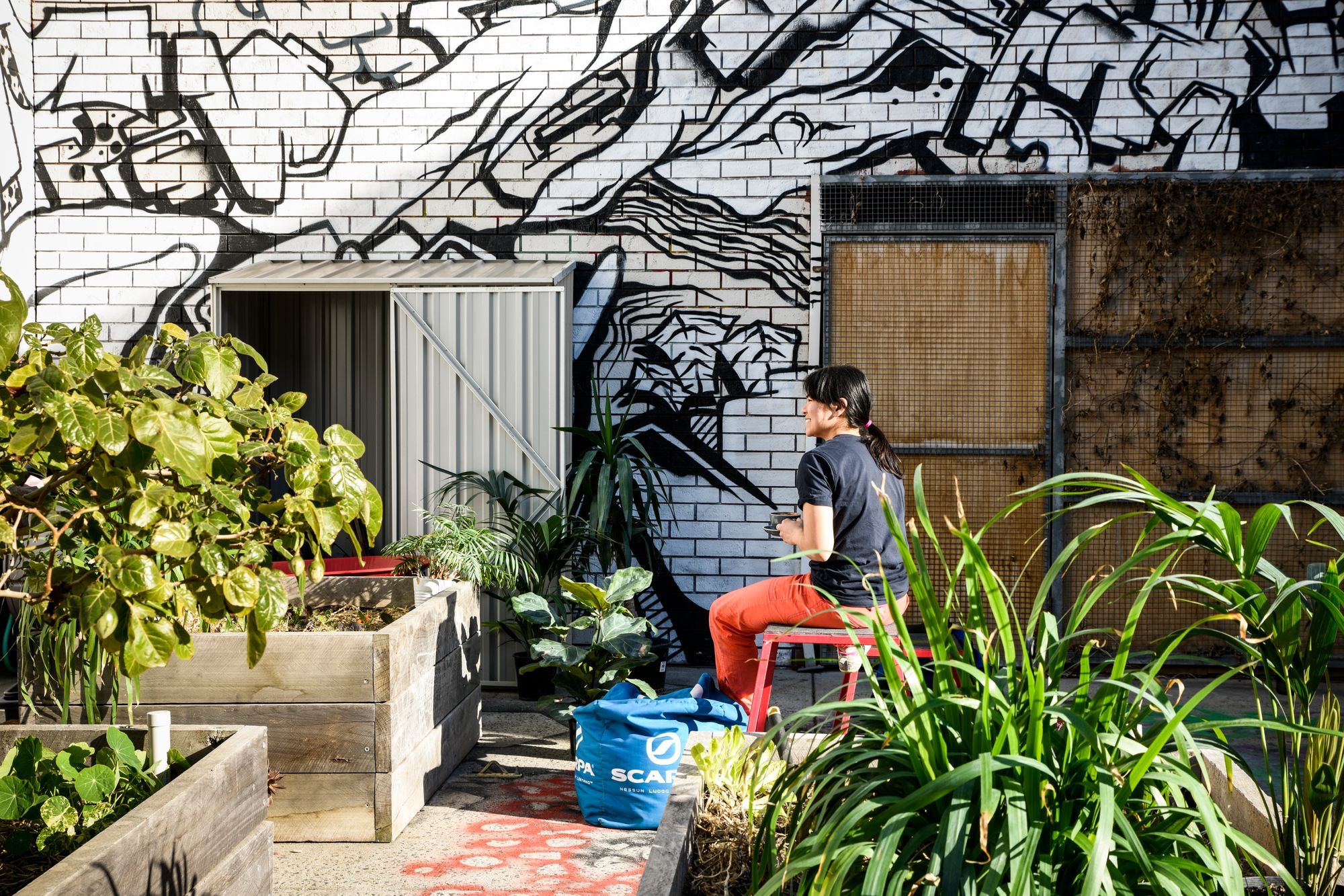 Northside Boulders - Brunswick