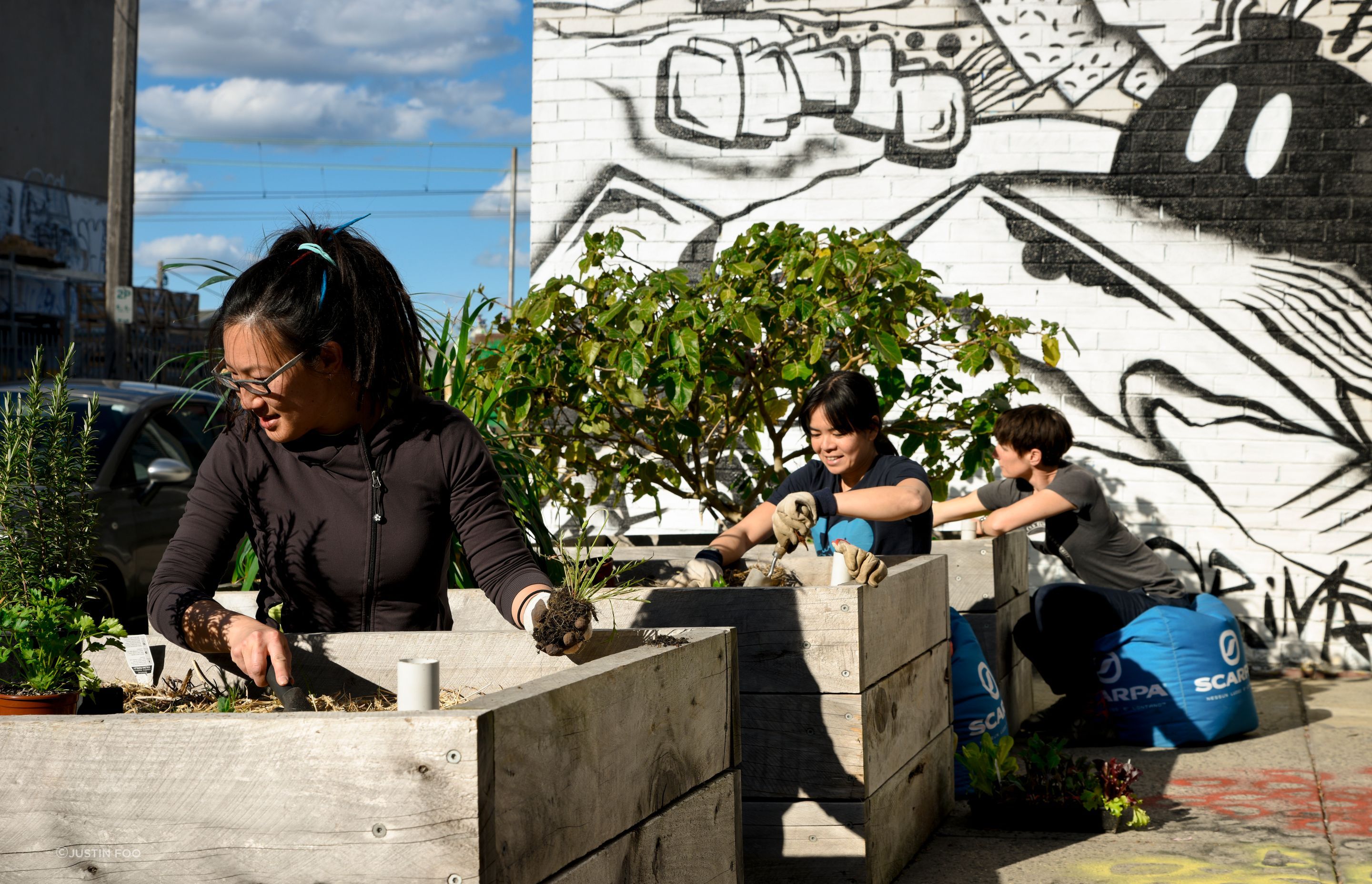 Northside Boulders - Brunswick