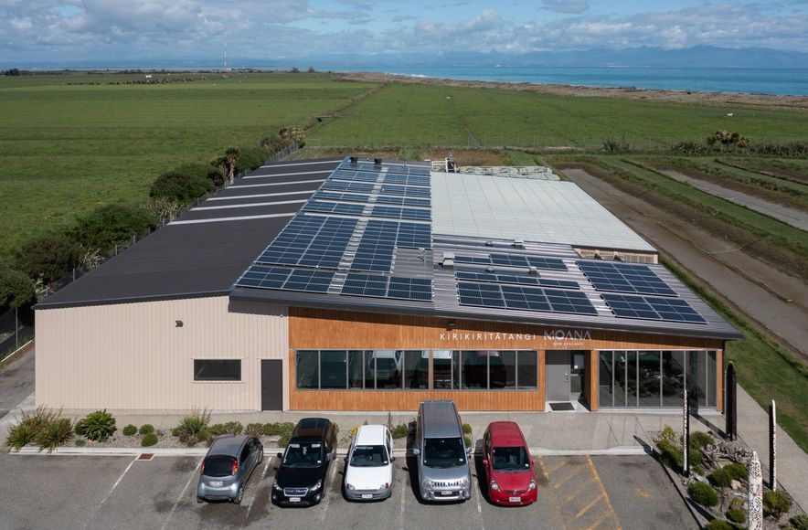 Moana Oyster Hatchery