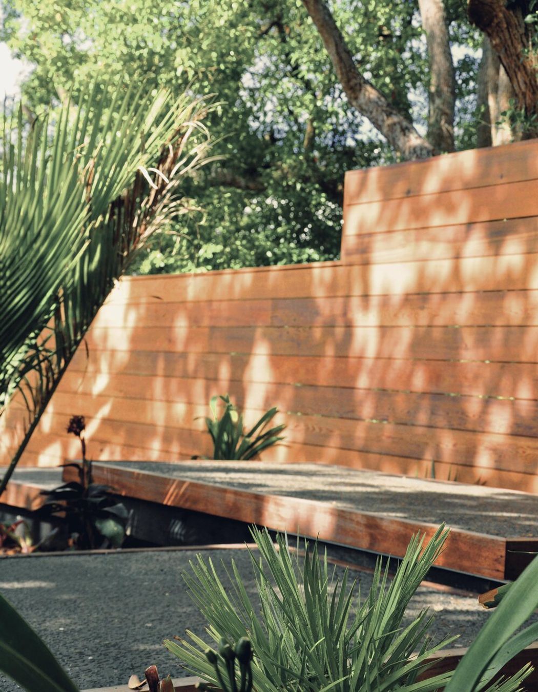 Northcote Point Landscape