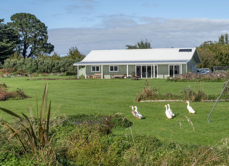 The White Home
