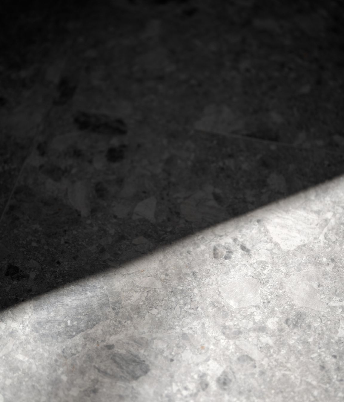 DSC08981.jpg