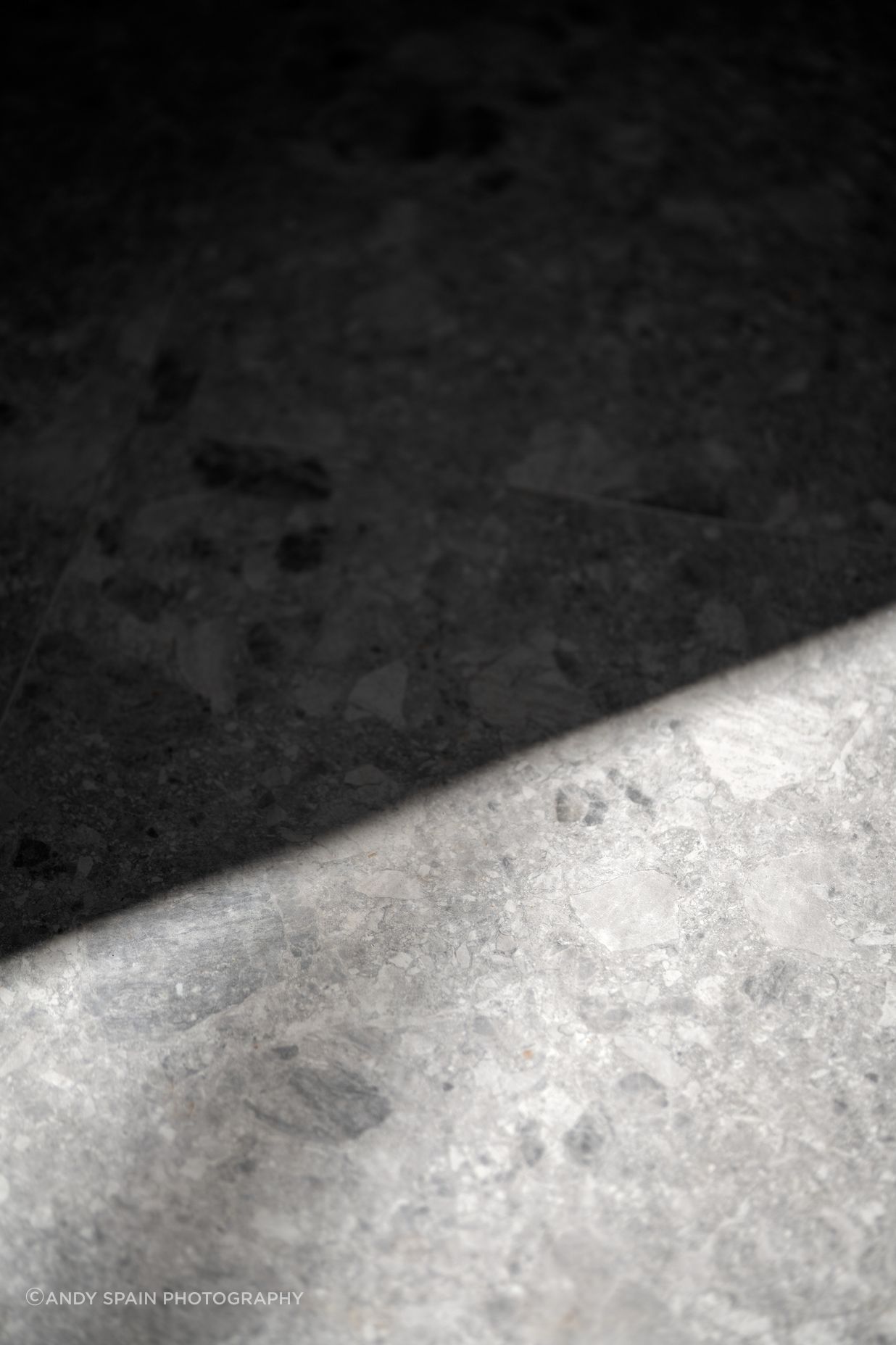 DSC08981.jpg